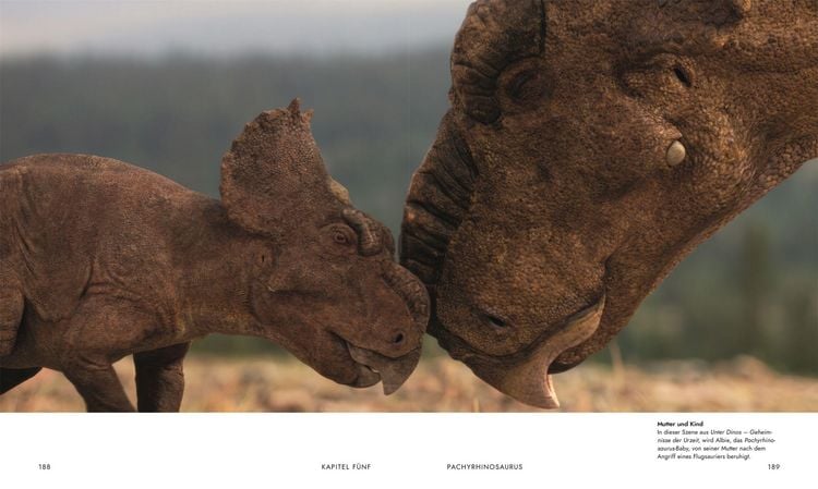 Produktbild: Unter Dinos - Geheimnisse der Urzeit