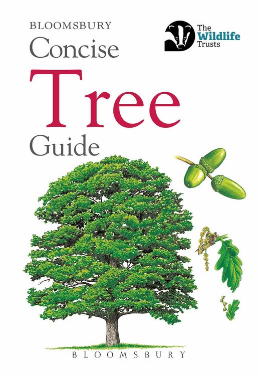 Produktbild: Concise Tree Guide