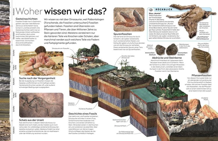 Produktbild: memo Wissen. Dinosaurier