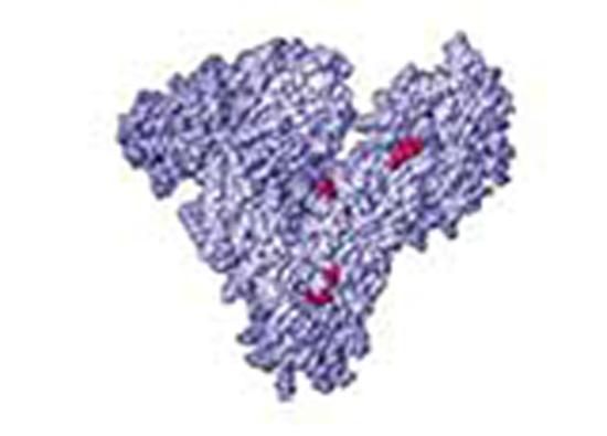 Produktbild: Estimation of Serum Albumin