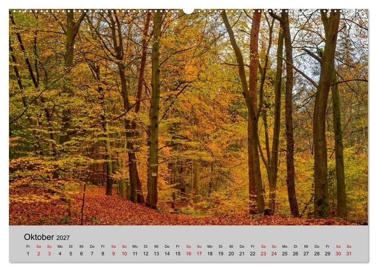 Produktbild: Biosph&auml;renreservat Schaalsee (Wandkalender 2027 DIN A2 quer), CALVENDO Monatskalender