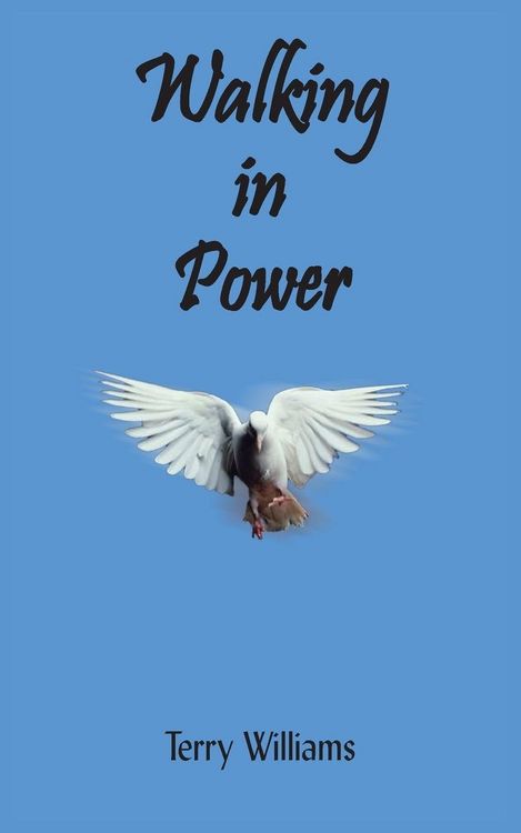 Produktbild: Walking in Power