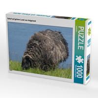 Produktbild: CALVENDO Puzzle Schaf auf gr&uuml;nen Land von Helgoland 1000 Teile Lege-Gr&ouml;&szlig;e 64 x 48 cm Foto-Puzzle Bild von kattobello