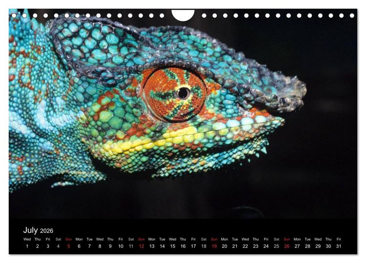 Produktbild: Chameleons Monsters of the African Bush (Wall Calendar 2026 DIN A4 landscape), CALVENDO 12 Month Wall Calendar
