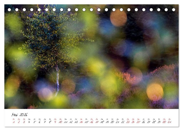 Produktbild: Im Atem der B&auml;ume (Tischkalender 2026 DIN A5 quer), CALVENDO Monatskalender