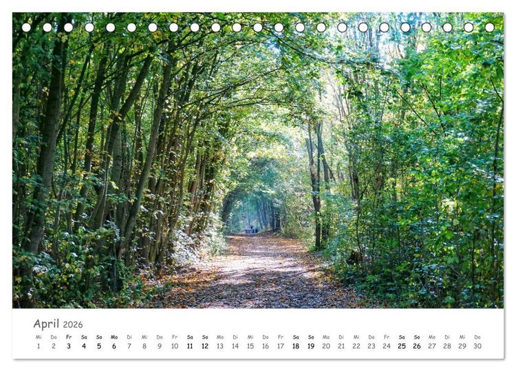 Produktbild: Wald - bezaubernde W&auml;lder (Tischkalender 2026 DIN A5 quer), CALVENDO Monatskalender
