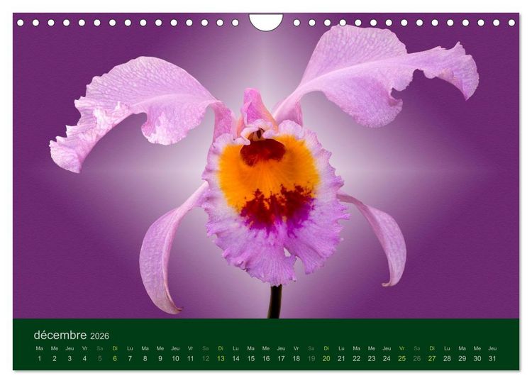 Produktbild: Les Orchid&eacute;es (Calendrier mural 2026 DIN A4 vertical), CALVENDO calendrier mensuel