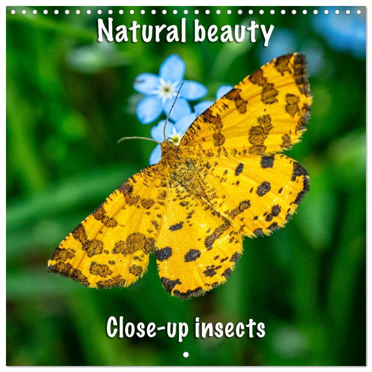Produktbild: Natural beauty. Close-up insects (Wall Calendar 2026 12 &times; 12 Inch) CALVENDO 12 Month Wall Calendar