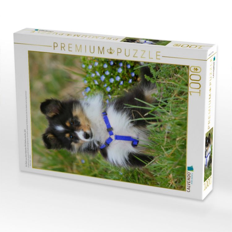 Produktbild: CALVENDO Puzzle Ein Motiv aus dem Kalender Mit Shelties durchs Jahr | 1000 Teile Lege-Gr&ouml;&szlig;e 64x48cm Foto-Puzzle f&uuml;r gl&uuml;ckliche Stunden