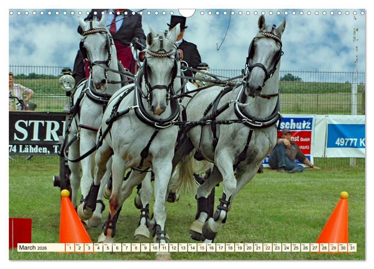Produktbild: Four-in-hand Driving Challenge (Wall Calendar 2026 DIN A3 landscape), CALVENDO 12 Month Wall Calendar