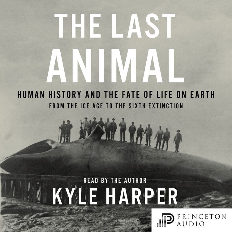 Produktbild: The Last Animal