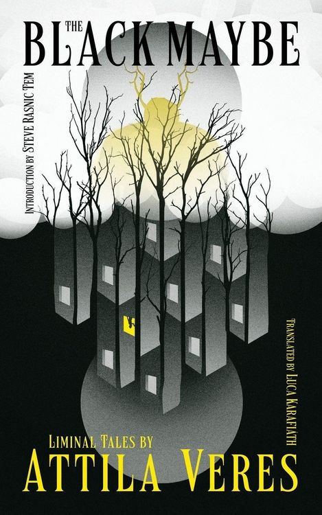 Produktbild: The Black Maybe