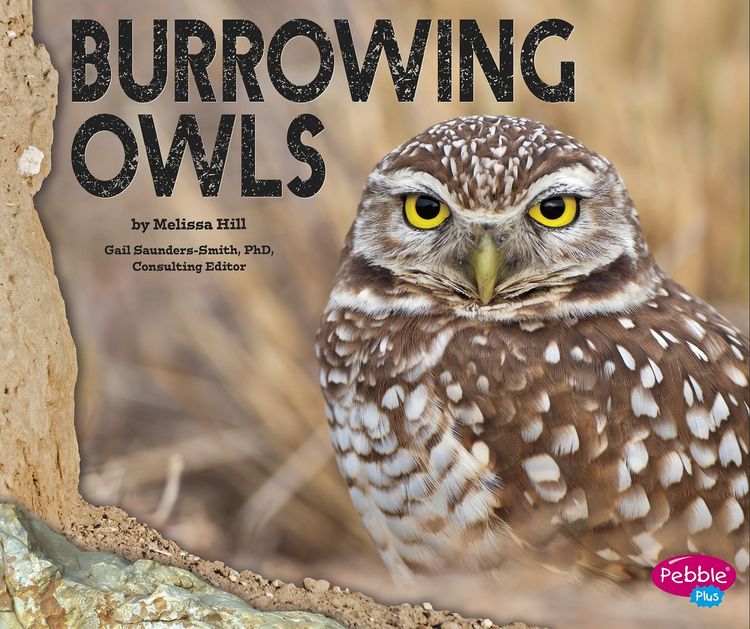 Produktbild: Burrowing Owls