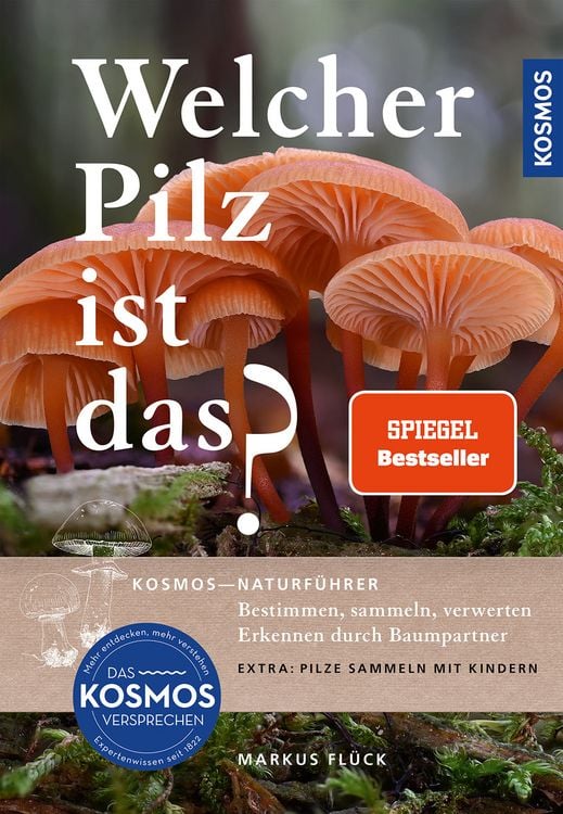 Produktbild: Welcher Pilz ist das?