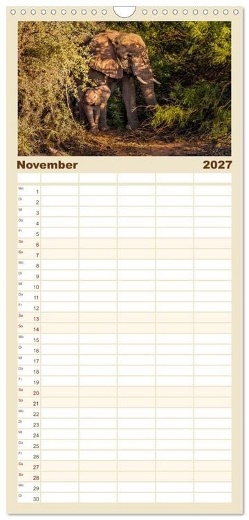 Produktbild: Familienplaner 2027 - Namibias faszinierende Tierwelt mit 5 Spalten (Wandkalender, 21 x 45 cm) CALVENDO