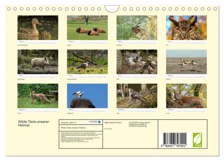 Produktbild: Wilde Tiere unserer Heimat (Wandkalender 2026 DIN A4 quer), CALVENDO Monatskalender