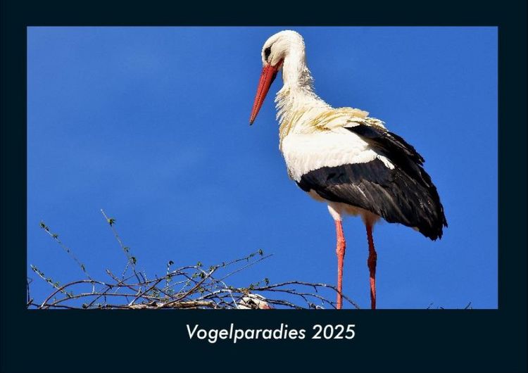 Produktbild: Vogelparadies 2025 Fotokalender DIN A4