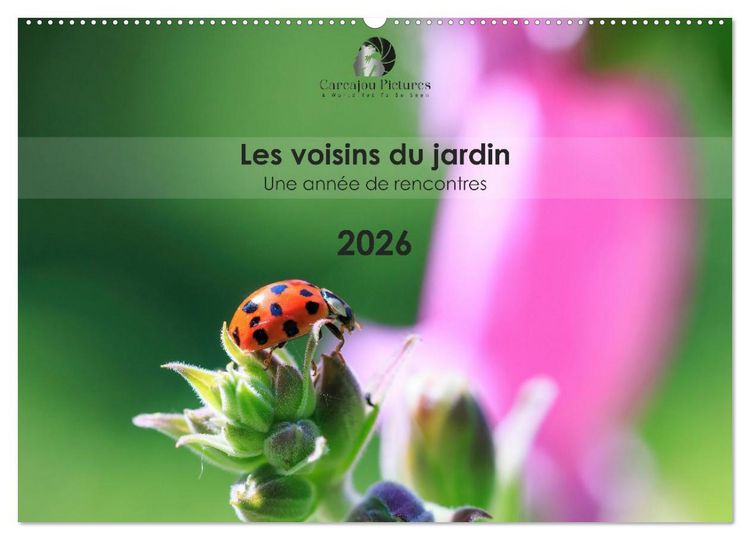 Produktbild: Les voisins du jardin - Une ann&eacute;e de rencontres (Calendrier mural 2026 DIN A2 vertical), CALVENDO calendrier mensuel