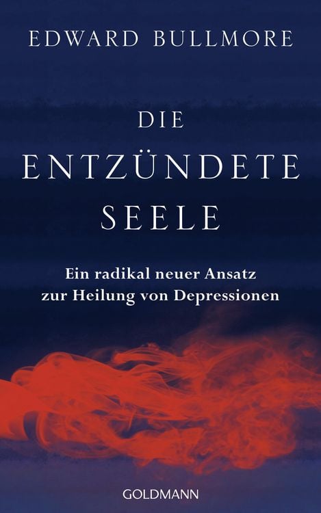 Produktbild: Die entz&uuml;ndete Seele