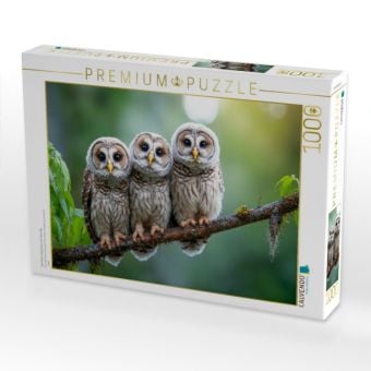 Produktbild: CALVENDO Puzzle Drei kleine K&auml;uzchen auf dem Ast | 1000 Teile Lege-Gr&ouml;&szlig;e 64x48cm Foto-Puzzle f&uuml;r gl&uuml;ckliche Stunden