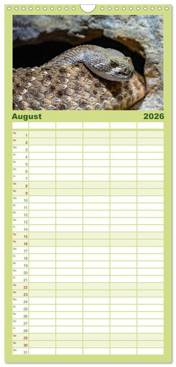 Produktbild: Familienplaner 2026 - Reptilien & Amphibien Portraits mit 5 Spalten (Wandkalender, 21 x 45 cm) CALVENDO