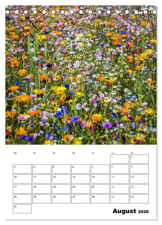 Produktbild: Farben der Natur (Tischkalender 2026 DIN A5 hoch), CALVENDO Monatskalender