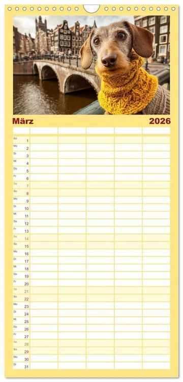 Produktbild: Familienplaner 2026 - Dackel auf gro&szlig;er Tour - S&uuml;&szlig;e Hunde entdecken die Welt mit 5 Spalten (Wandkalender, 21 x 45 cm) CALVENDO
