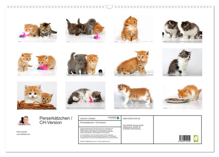 Produktbild: Perserk&auml;tzchen / CH-Version (Wandkalender 2026 DIN A2 quer), CALVENDO Monatskalender