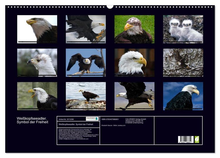 Produktbild: Wei&szlig;kopfseeadler. Symbol der Freiheit (Wandkalender 2026 DIN A2 quer), CALVENDO Monatskalender