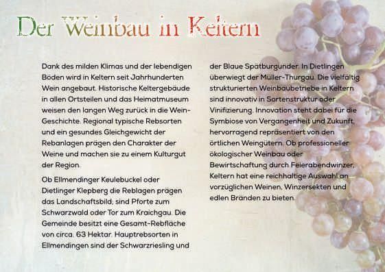 Produktbild: Das Jahr im Weinbau