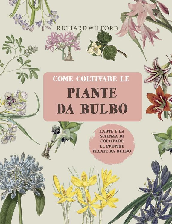 Produktbild: Come coltivare le piante da bulbo. L'arte e la scienza di coltivare le proprie piante da bulbo