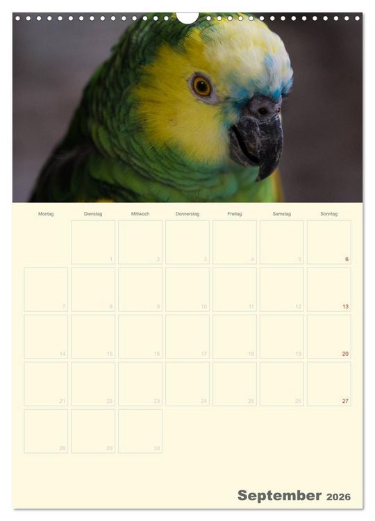 Produktbild: Kunterbunter Papageien-Planer (Wandkalender 2026 DIN A3 hoch), CALVENDO Monatskalender