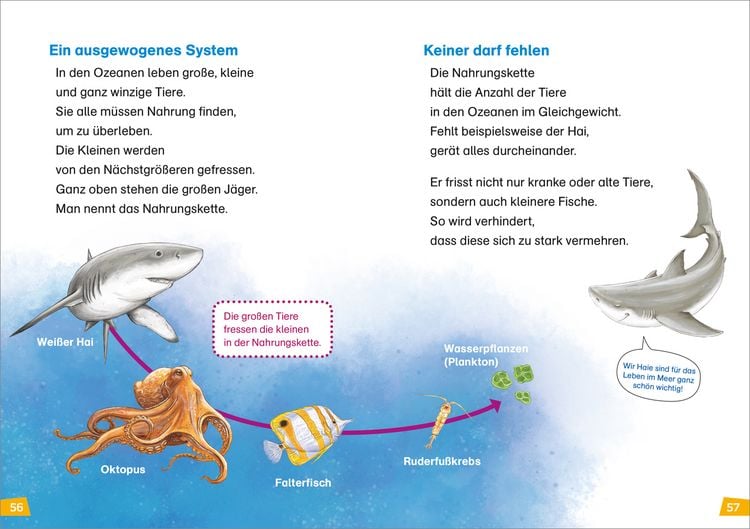 Produktbild: WAS IST WAS Erstes Lesen Band 16. Haie