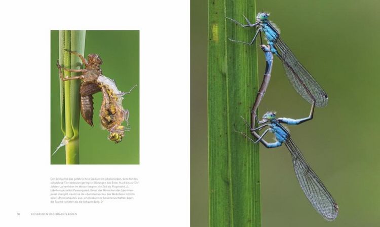Produktbild: Verborgene Wildnis Bayern