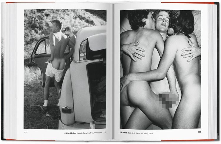 Produktbild: The Male Nude