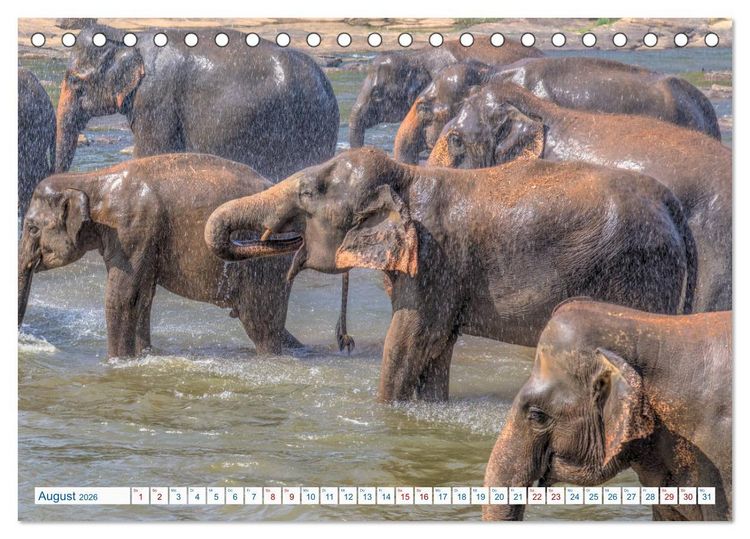 Produktbild: Sri Lanka, tropisches Inselparadies (Tischkalender 2026 DIN A5 quer), CALVENDO Monatskalender