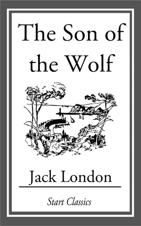 Produktbild: The Son of the Wolf