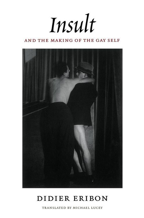 Produktbild: Insult and the Making of the Gay Self