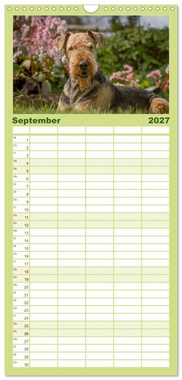 Produktbild: Familienplaner 2027 - Airedale-Terrier, was sonst! mit 5 Spalten (Wandkalender, 21 x 45 cm) CALVENDO