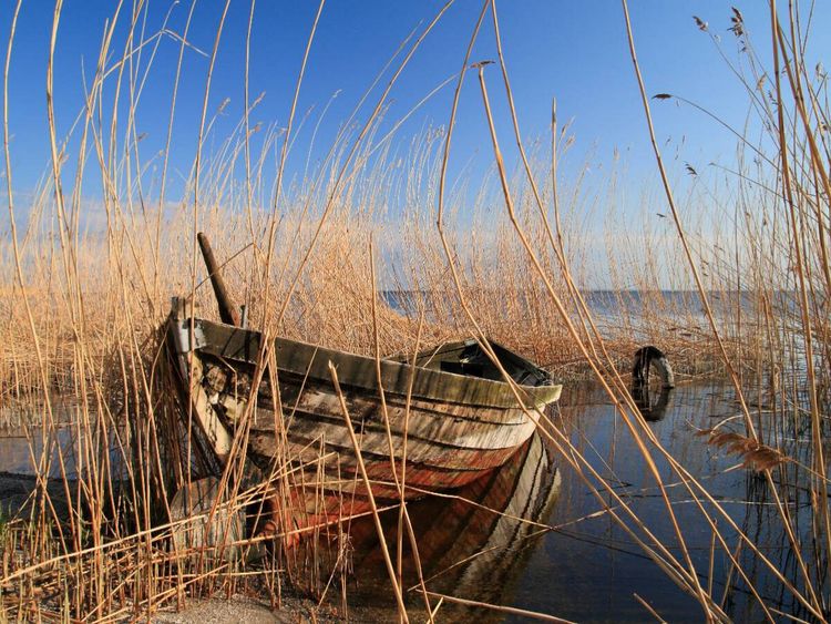 Produktbild: CALVENDO Puzzle Altes Boot im Schilf | 1000 Teile Lege-Gr&ouml;&szlig;e 64x48cm Foto-Puzzle f&uuml;r gl&uuml;ckliche Stunden
