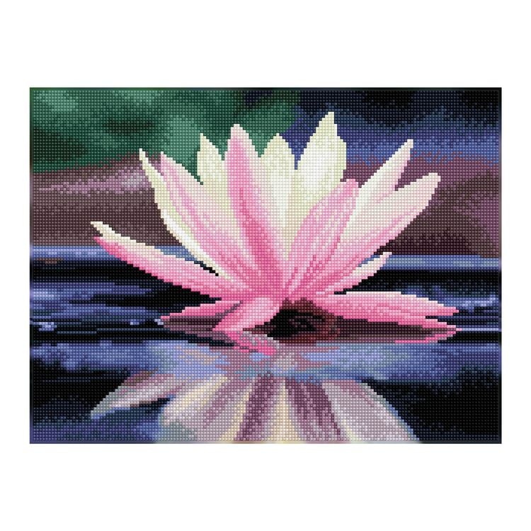 Bild vom Artikel Diamond Dotz - Diamond Painting Seerose vom Autor 