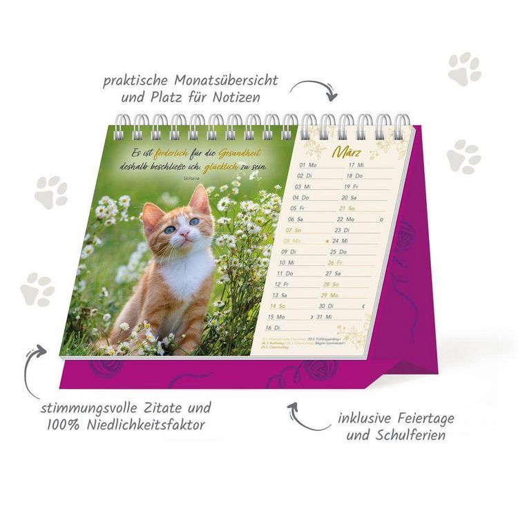 Produktbild: TR&Ouml;TSCH - Aufstellkalender Samtpf&ouml;tchen 2027