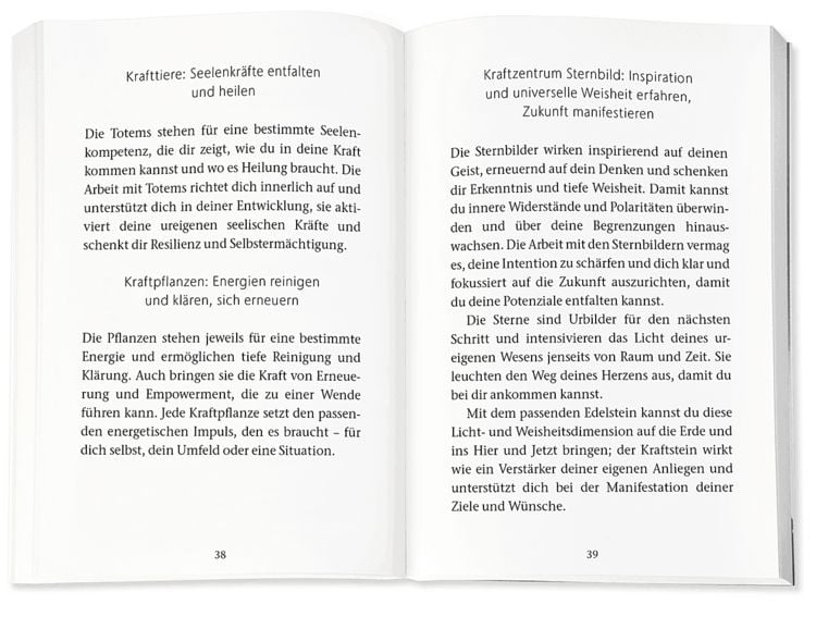 Produktbild: Das heilende Orakel der Rauhn&auml;chte
