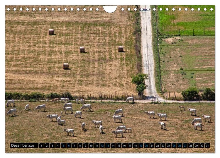 Produktbild: Die Etrusker &ndash; Hochkultur im antiken Italien (Wandkalender 2026 DIN A4 quer), CALVENDO Monatskalender