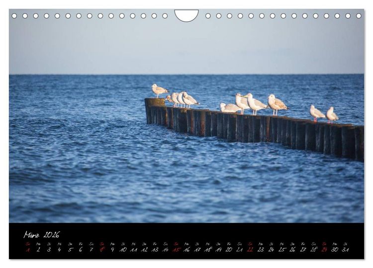 Produktbild: R&uuml;gen-Impressionen (Wandkalender 2026 DIN A4 quer), CALVENDO Monatskalender