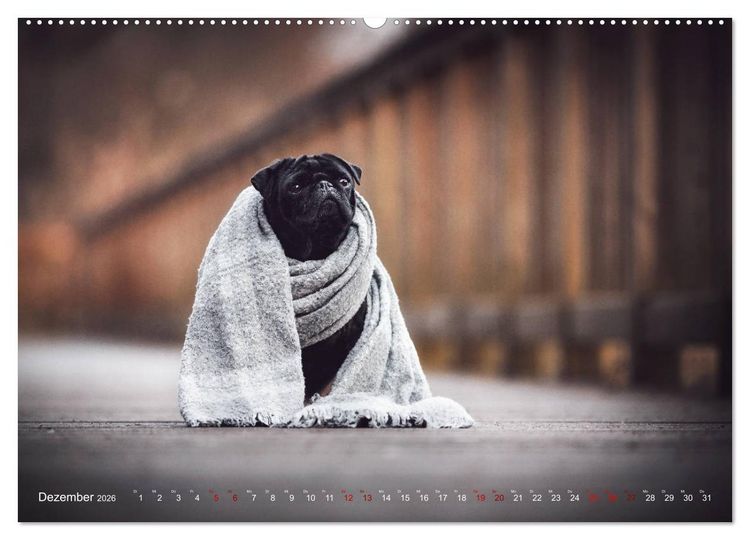 Produktbild: Diesels Welt (Wandkalender 2026 DIN A2 quer), CALVENDO Monatskalender