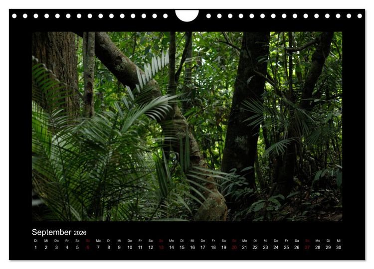Produktbild: SUMATRA Abenteuer Regenwald (Wandkalender 2026 DIN A4 quer), CALVENDO Monatskalender