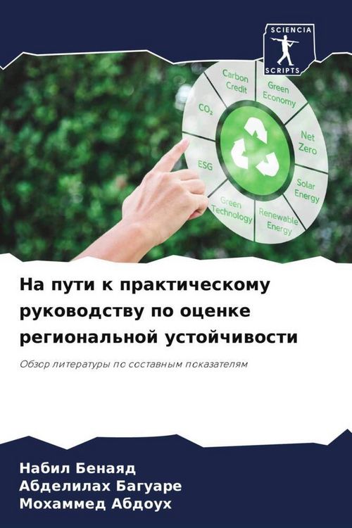 Produktbild: Na puti k prakticheskomu rukowodstwu po ocenke regional'noj ustojchiwosti