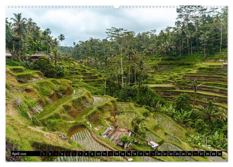 Produktbild: Bali Indonesien (Wandkalender 2026 DIN A2 quer), CALVENDO Monatskalender