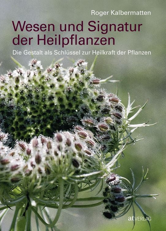 Produktbild: Wesen und Signatur der Heilpflanzen